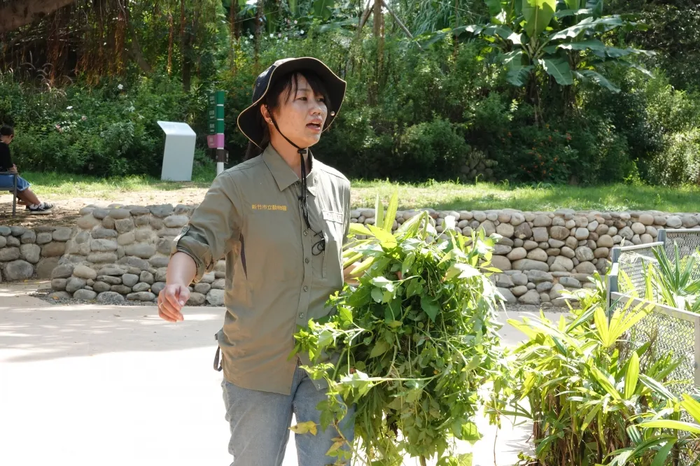 【專訪片】日本女孩自願飄洋過海來台　盡心改造新竹市立動物園