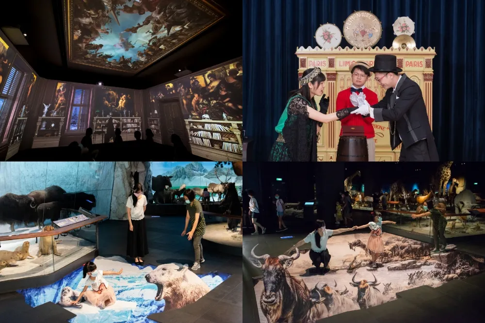 奇美博物館更好玩了！注入新元素：時間的房間、3D動物地景、自動樂器小劇場
