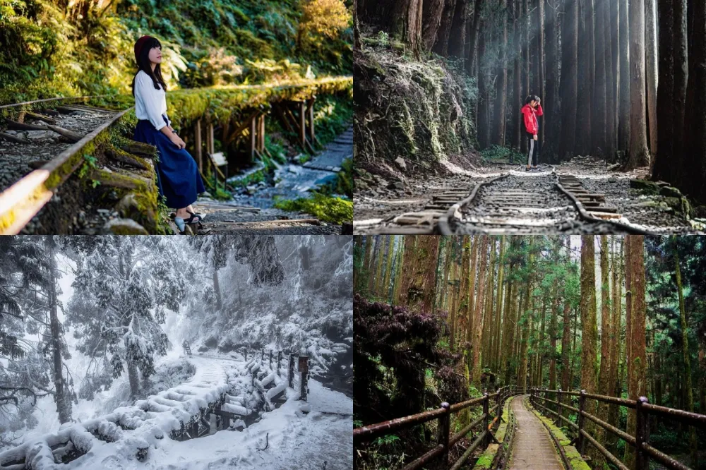 你沒去過的台灣夢幻鐵路！眠月線鐵道、特富野古道、見晴懷古步道懶人包
