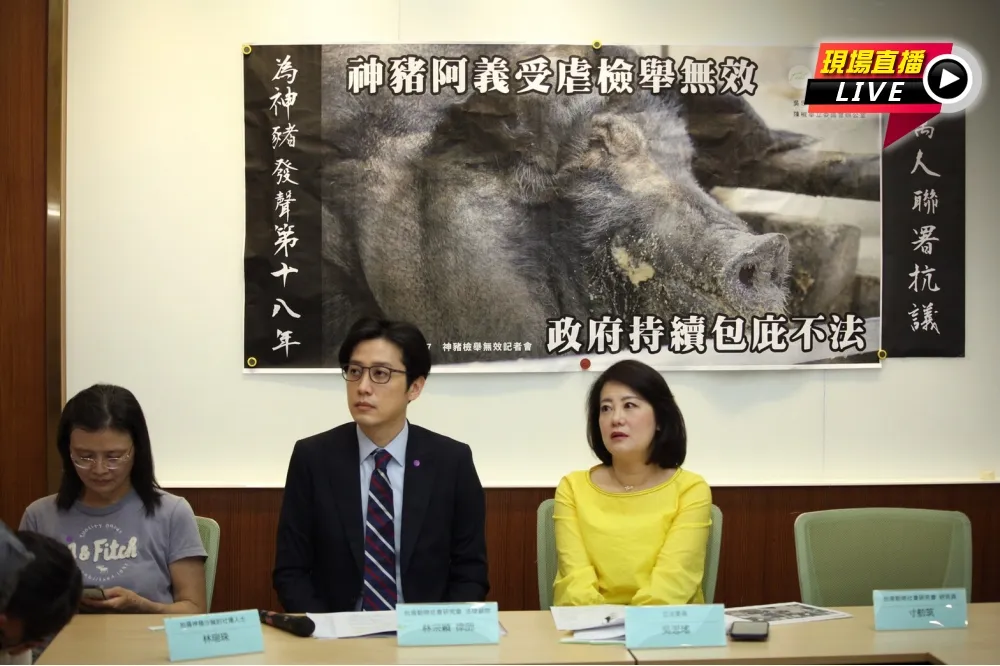 【直播】灌食神豬沒人性！　動保團曝受虐證據斥政府包庇
