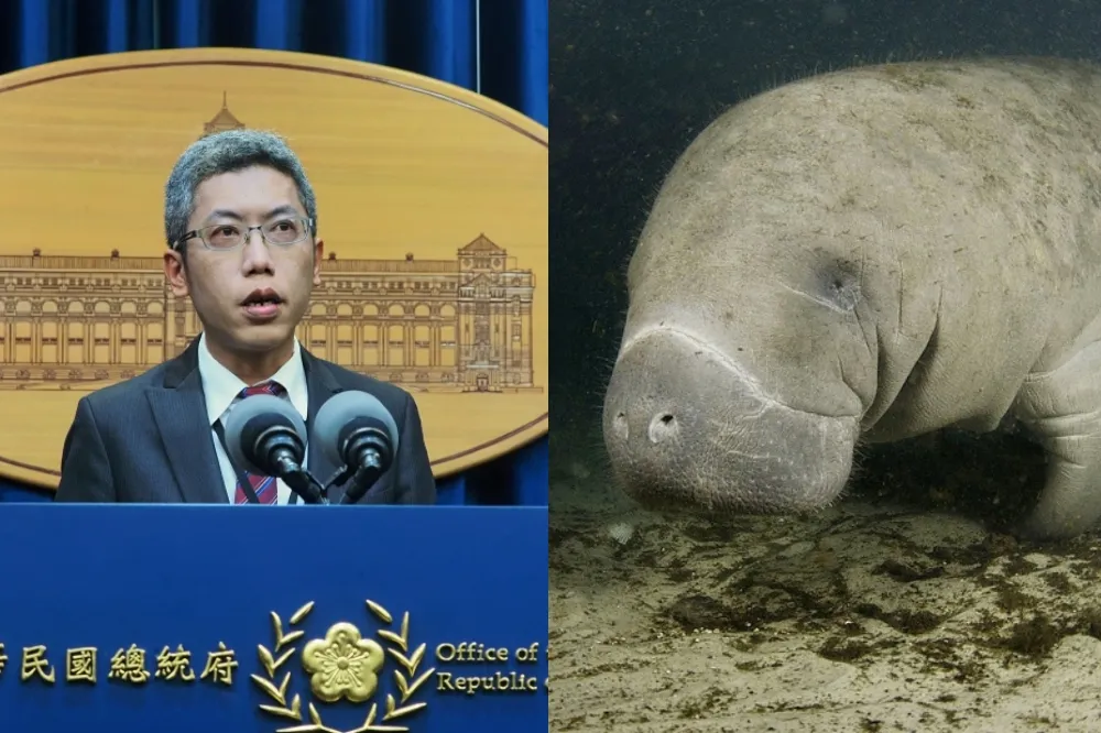 多重性關係被稱「情色海牛」　丁允恭名言「不浪費食物」