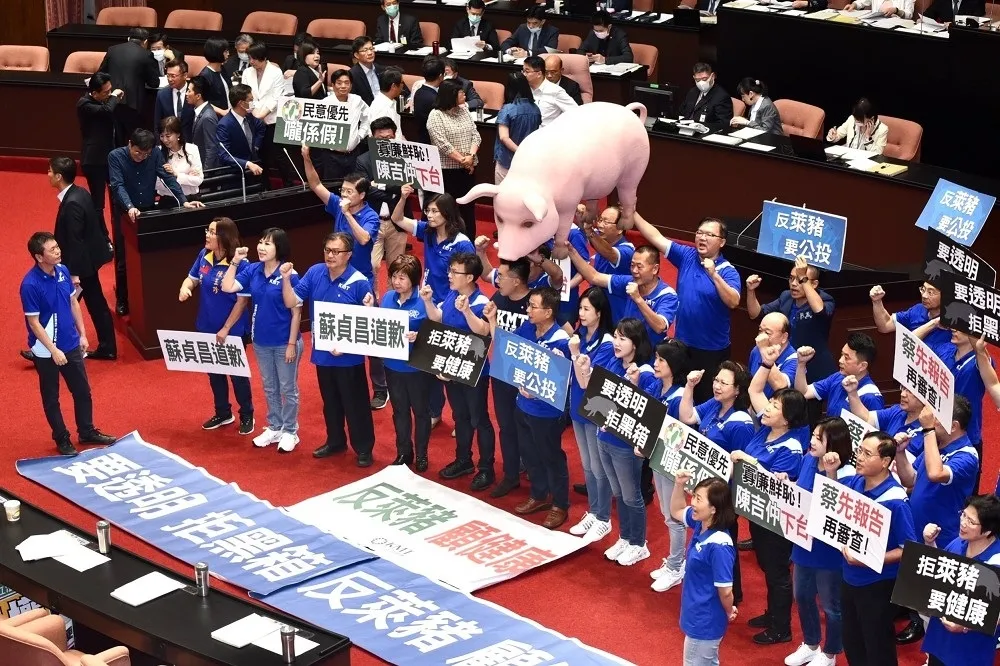 【抬粉紅豬抗議】國民黨拋公決案逕付二讀　要蔡英文赴國會報告