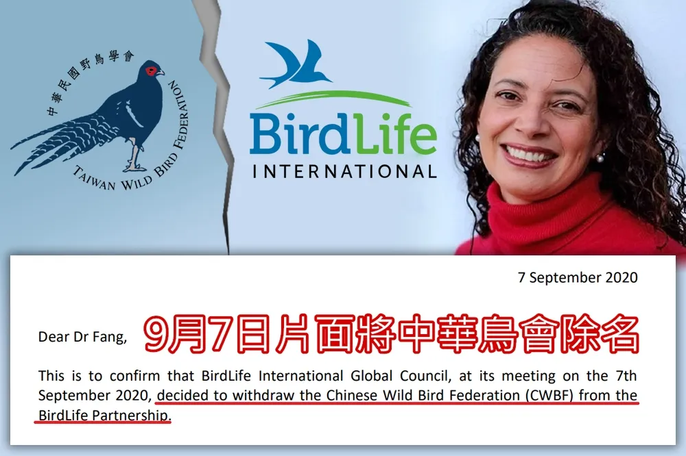 【用中華遭除名】鳥會索性正名「Taiwan」　公開國際鳥盟施壓信件