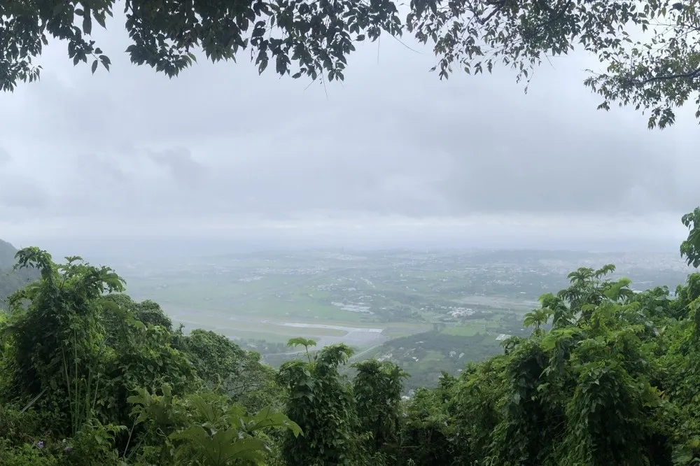 佐倉步道賞花蓮全景！　賞全民運順遊秘密景點