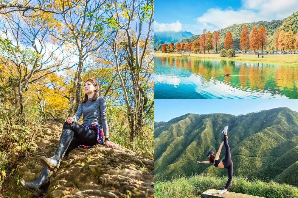 品味秋季金色小美好！太平山山毛櫸、明池賞楓、抹茶山芒草　宜蘭秋遊全攻略