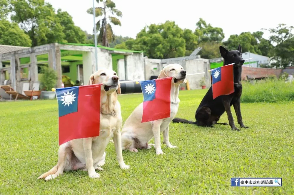 全國最療癒國慶升旗　台中搜救犬「旗」祝國家生日