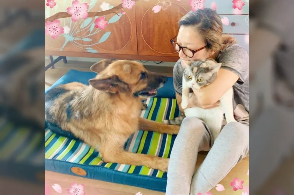 鄭秀文痛失15歲愛犬Lucky　追憶影片讓粉絲淚崩