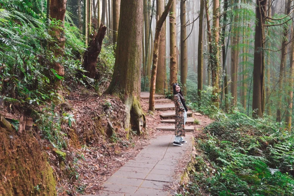【旅遊片】走訪雲林古坑秘境！從華山情人橋玩到天空之城雲嶺之丘