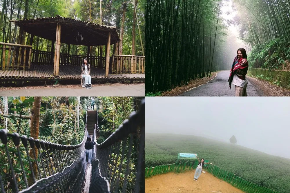 【有片】雲林古坑秘境！雲嶺之丘、五元兩角、小天梯等 5 大必踩打卡點