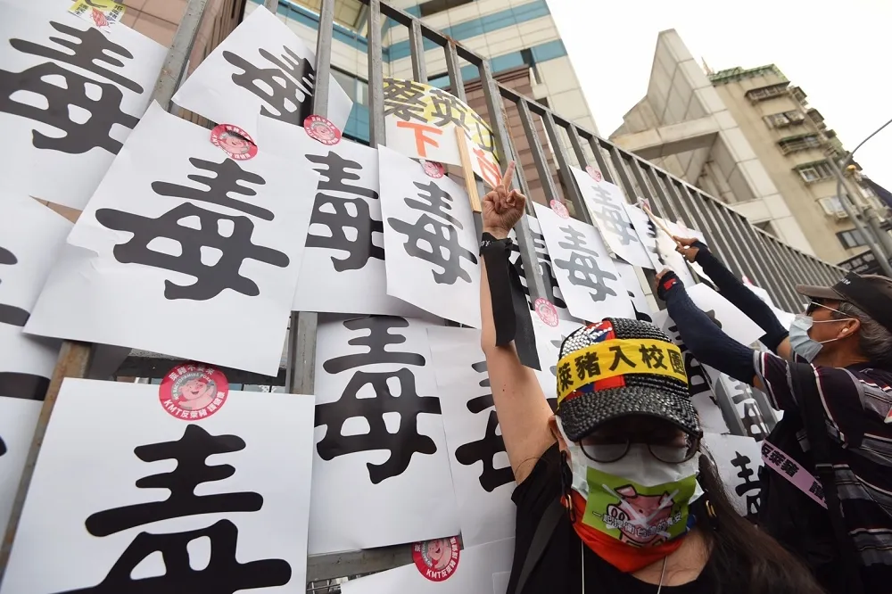 【5萬黑潮嗆蔡】2大在野黨「插花」激出人氣　秋鬥炮火卻不敵窩裡反