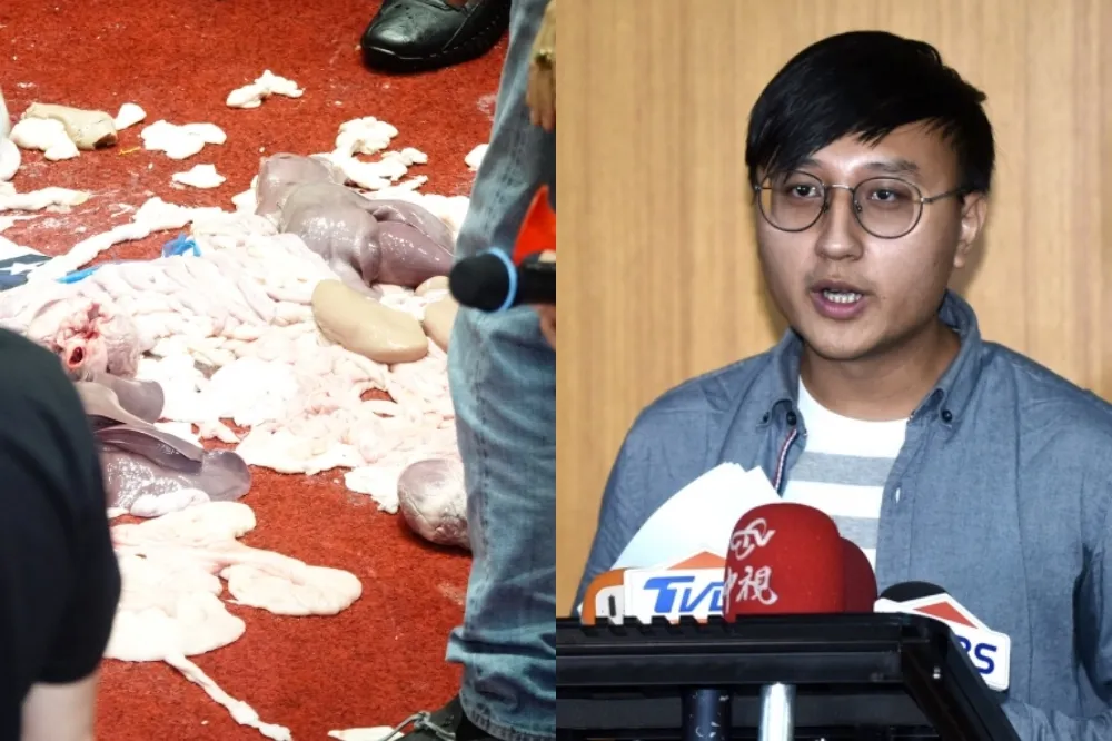 「豬臟器大亂攻」惹議　藍青年團總召嘆：難道不能節制一點，好好問政嗎？