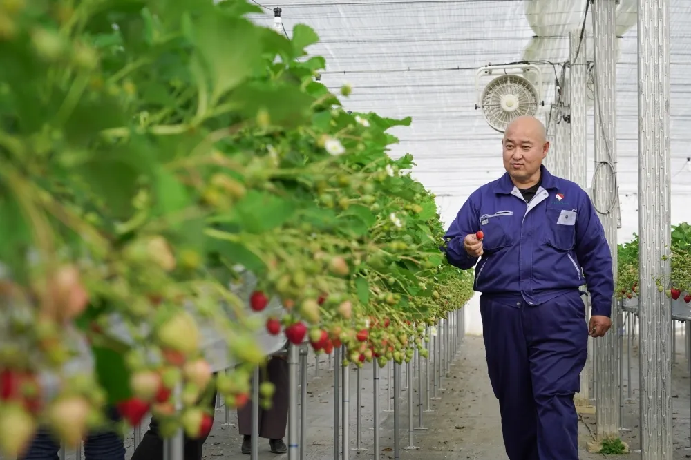 請託藍挺核災5縣市食品輸台　日官員允諾協助爭「CPTPP門票」