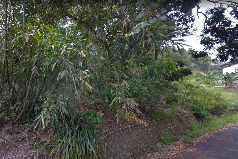 離婚爭小孩爆吵　台中夫亂刀砍殺前妻棄屍大坑山區