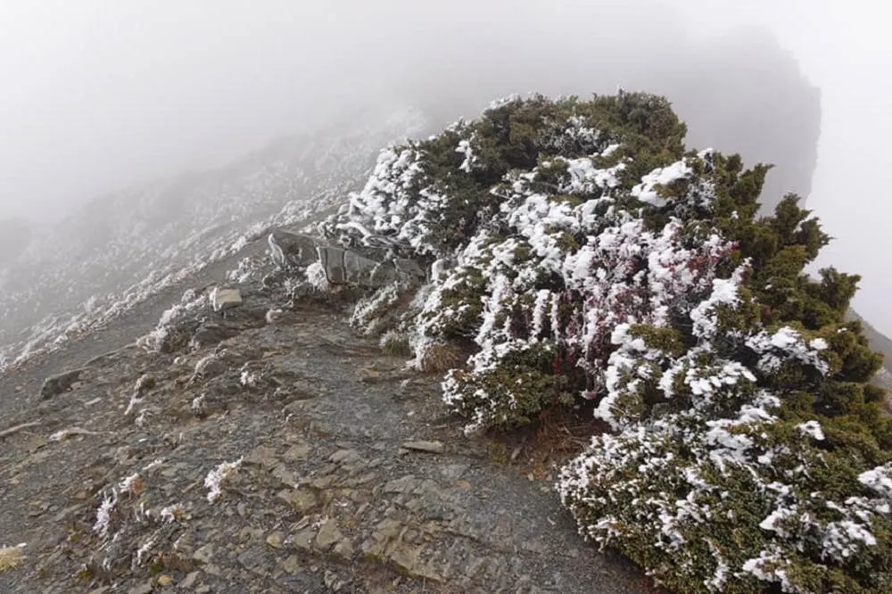 【雪季開跑】雪山主峰下翠池碎石坡結冰、松樹結霜　