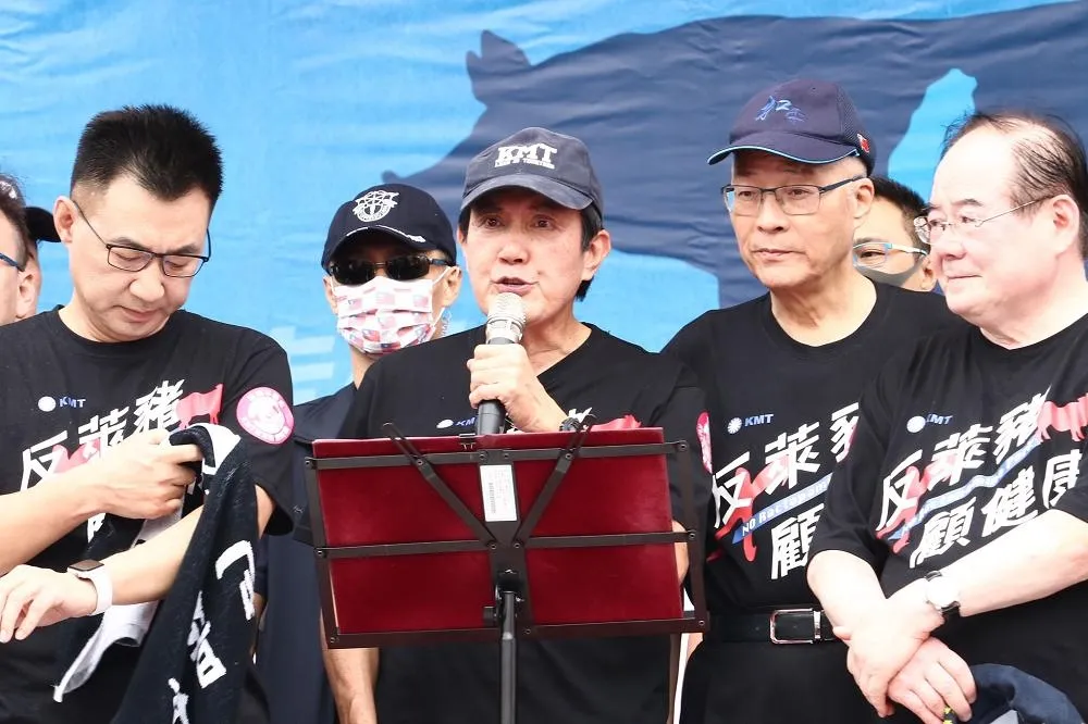 陳嘉宏專欄：不是罵贏馬英九就贏了