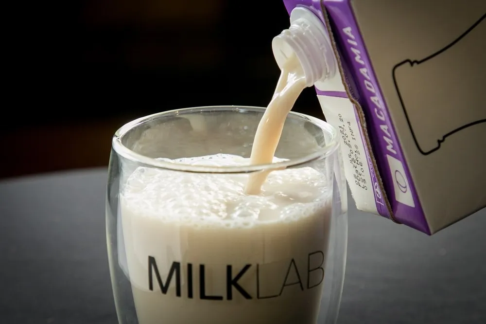 植物奶風潮！澳洲 MILKLAB 登陸台灣推出 4 款植物奶、2 款牛奶　營養師教你這樣喝