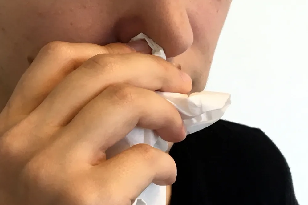 「過敏性鼻炎」讓你黑眼圈好深？這三種食物讓你告別長期鼻塞、打噴嚏
