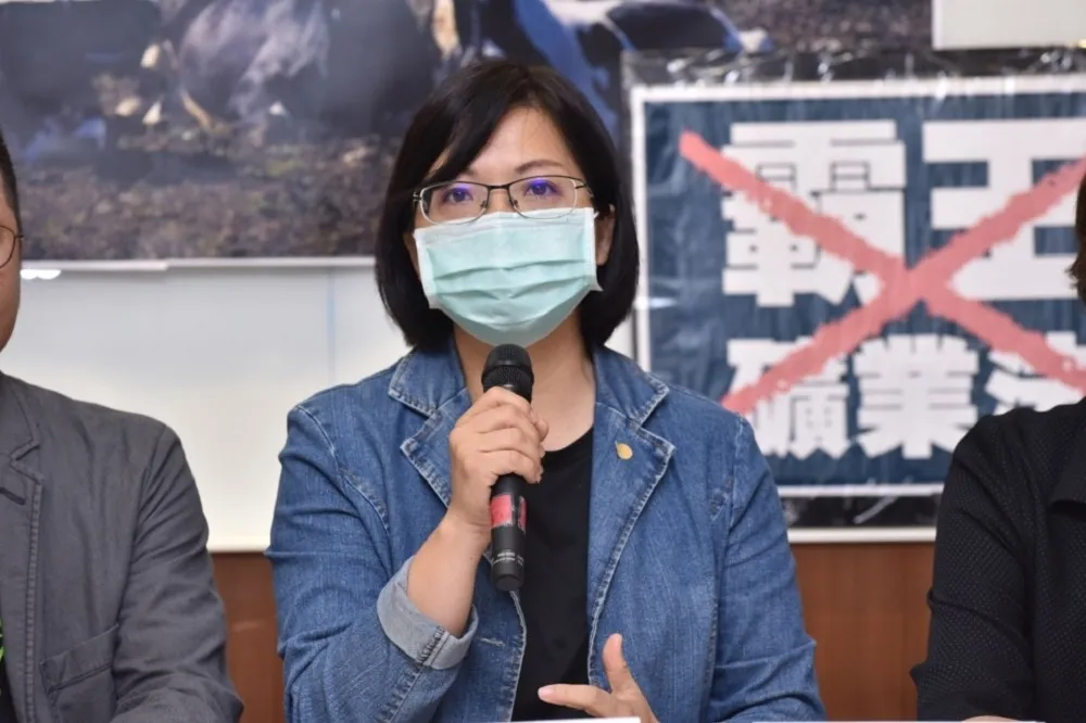 陳嘉宏專欄：林淑芬是民進黨的瑰寶