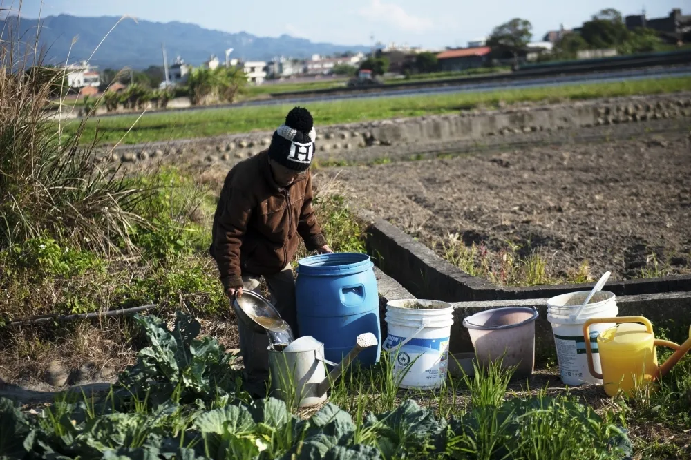 【停耕之亂】推救助狀況外　農糧署「不熟代耕業」甩鍋民間協會