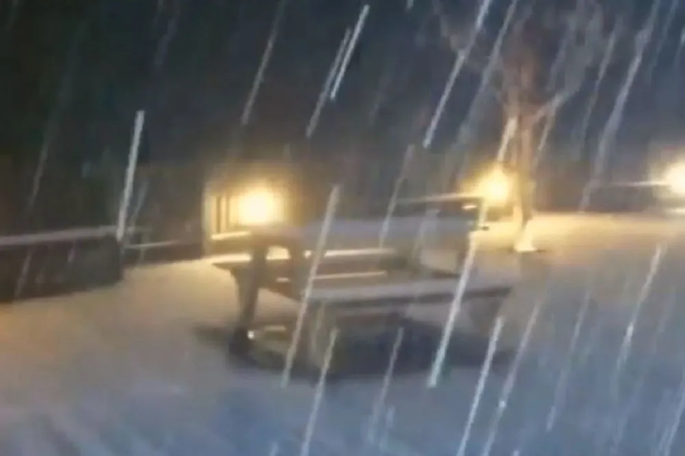 【追雪片】太平山零下1度下雪啦！　「銀白」翠峰山屋披夜色美炸天