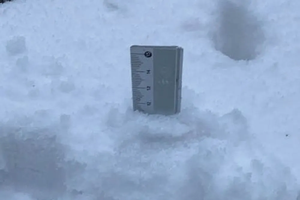 【有片】追雪族賺到了　大屯山雪正在下「積雪12公分」