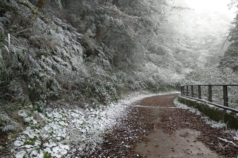 台東也下雪了　向陽遊樂區薄雪美景一次看個夠