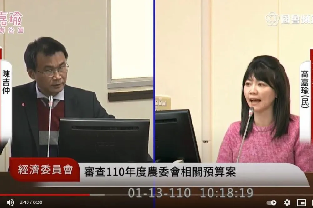 質疑農委會未檢討豬標章管理　高嘉瑜怒轟：標章應該貼在陳吉仲頭上