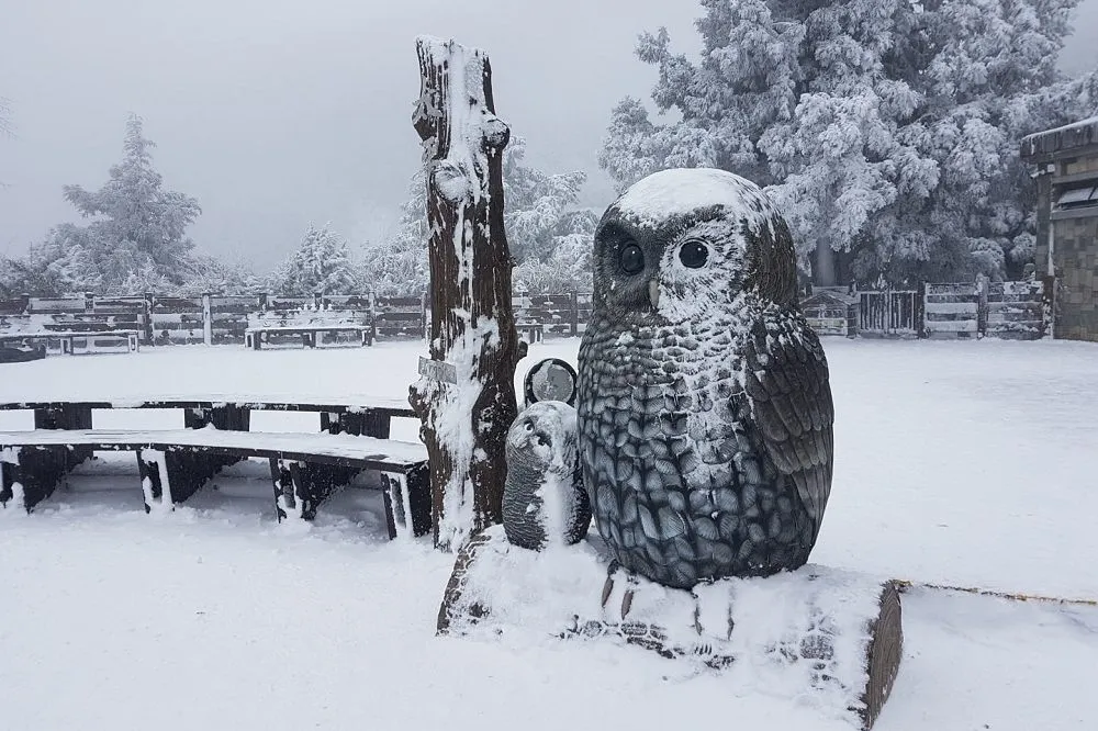 強烈大陸冷氣團來襲　吳德榮：僅太平山可能有機會飄雪