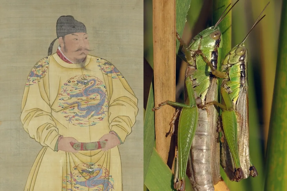 生吞蝗蟲止饑荒？唐太宗的作秀功力已經達到最高境界