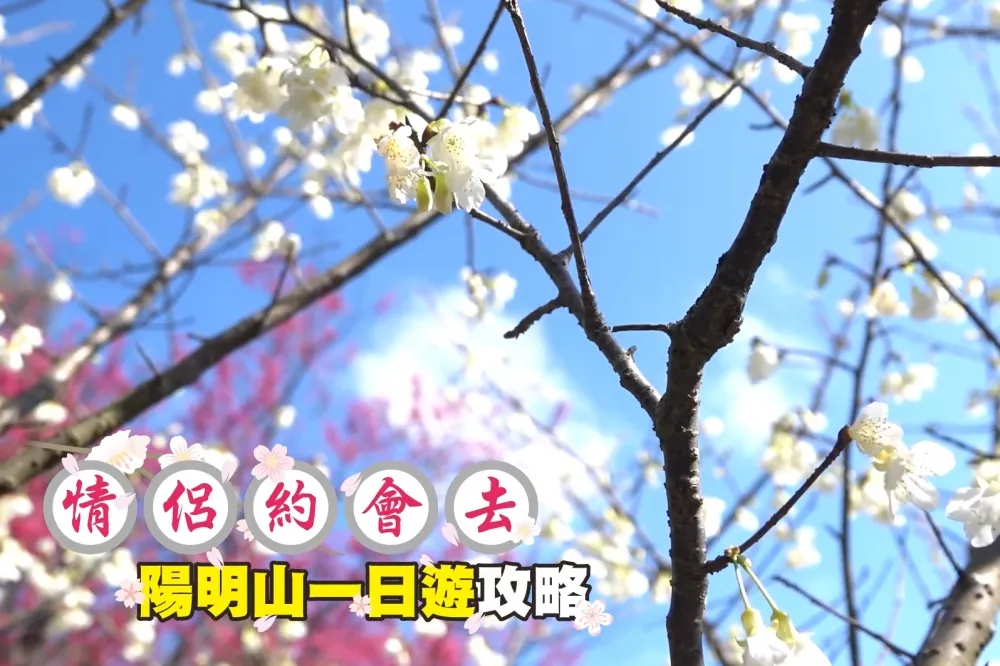 【出遊片】情侶約會去！陽明山一日遊攻略