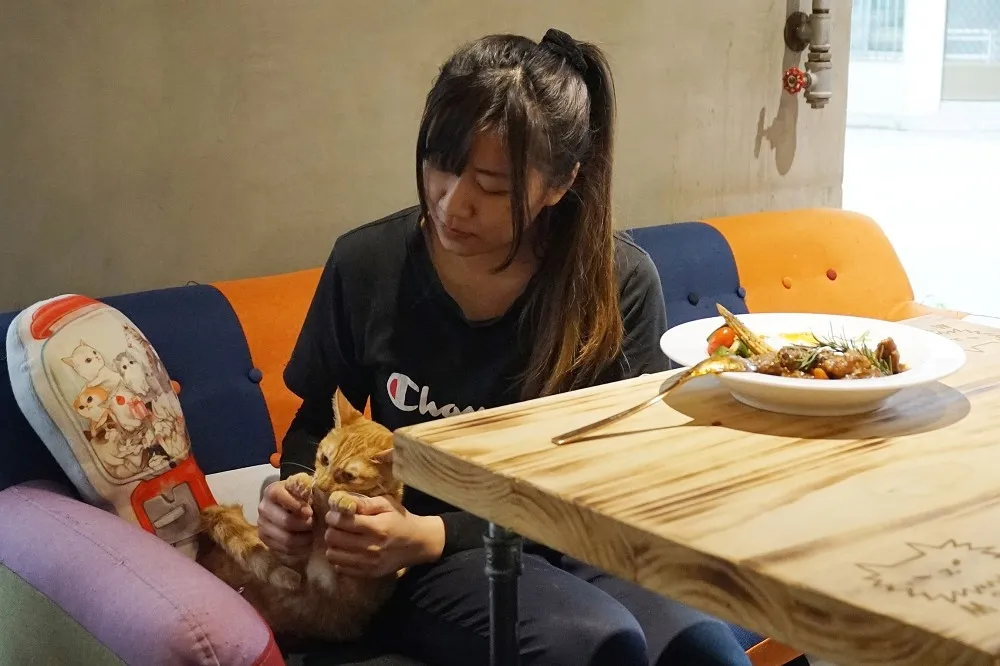 【貓奴片】林口「貓泰泰」姐妹店進駐台北信義區！我們待會去「貓那邊」