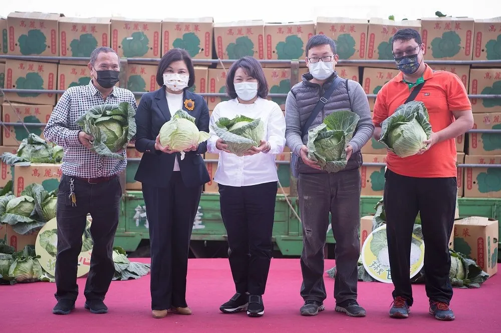 高麗菜暴跌一公斤5元　菜農乾脆開放民眾免費自採