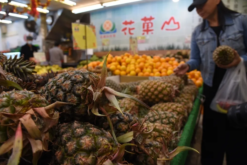 【中國擋鳳梨】香港恐跟進　港漁護署：發現「病蟲害」將拒入境