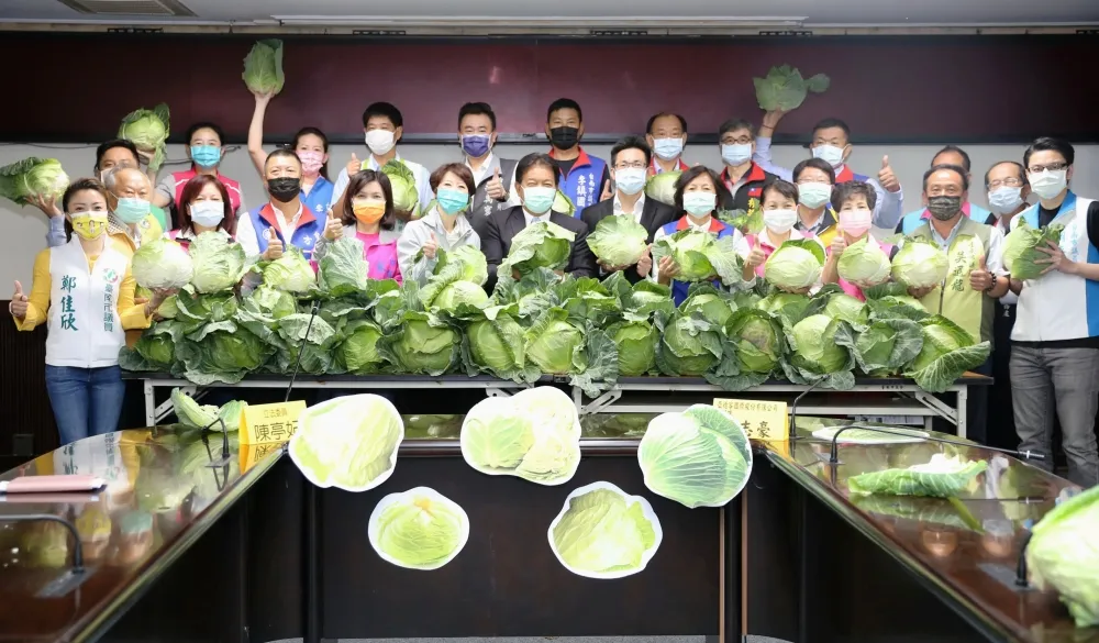 訂鳳梨也別忘吃高麗菜！ 　              南市議會結合企業助菜農，免費送高麗菜