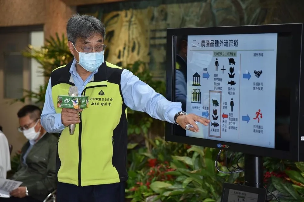 台灣金鑽鳳梨種苗流入中國　農委會祭「禁回銷」等3大措施