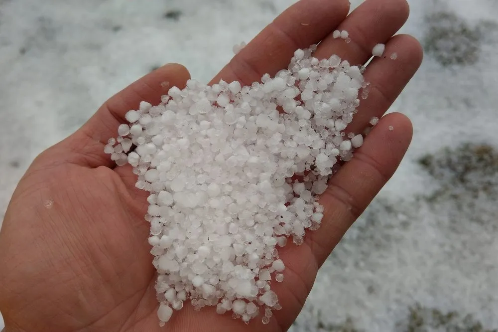 玉山下午1點下雪粒　持續35分鐘厚度0.7公分