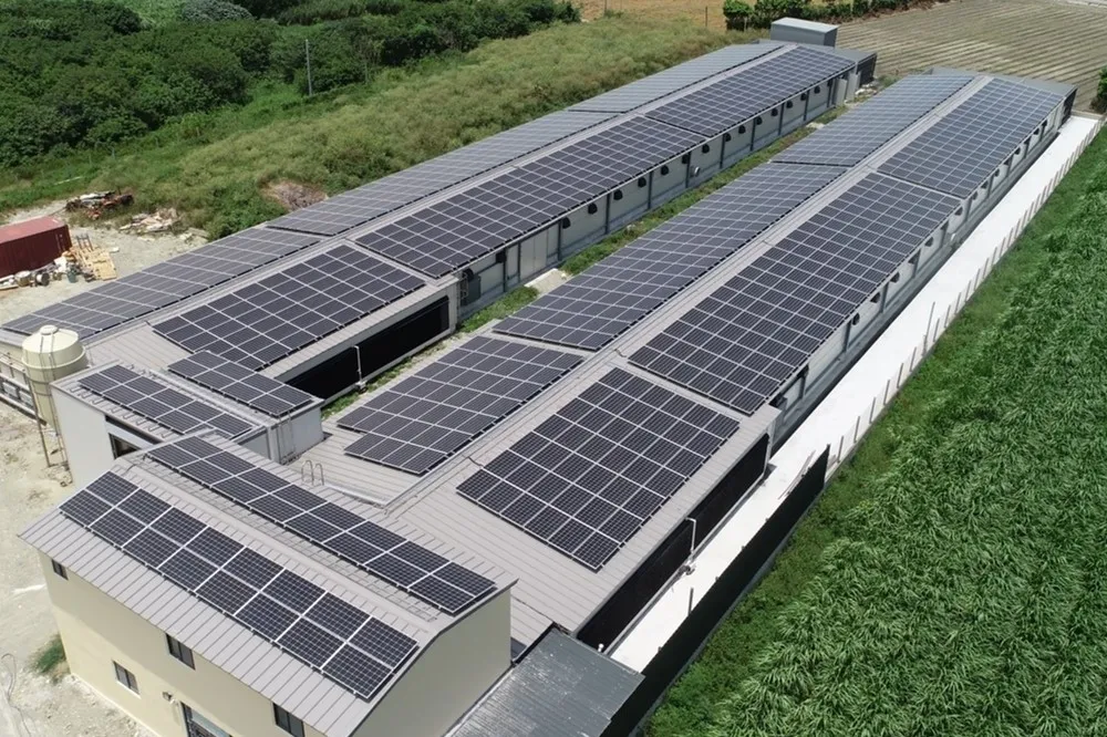 搶攻綠電商機　中租能源有意從太陽能跨足售電業