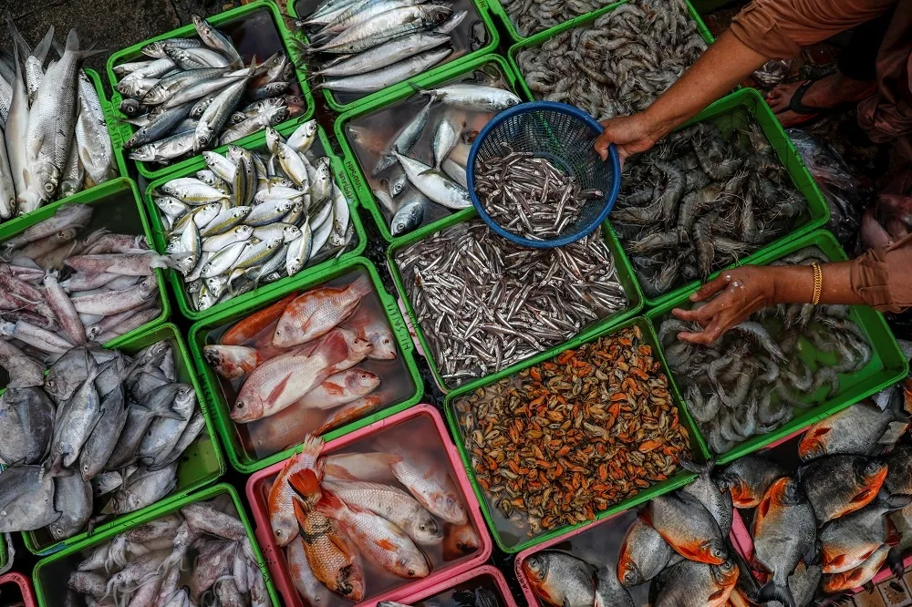 全球海鮮生意大騙局　你吃的魚36%不是你買的魚