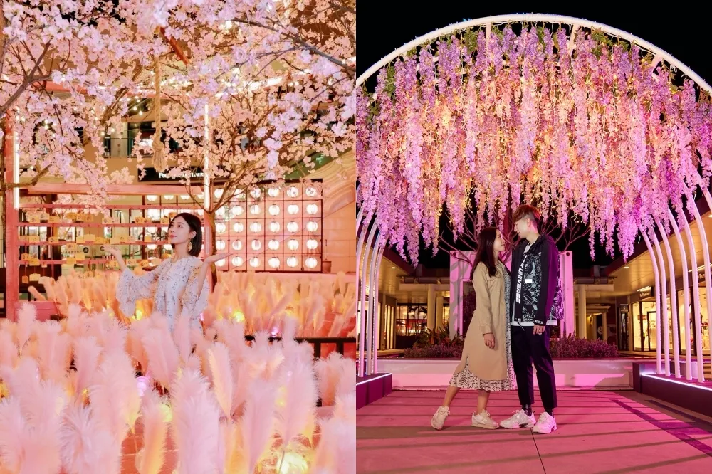 輕鬆拍出日式唯美照！三井 OUTLET 限定春遊花海　林口櫻花白兔神社、台中港紫藤花瀑仙境 