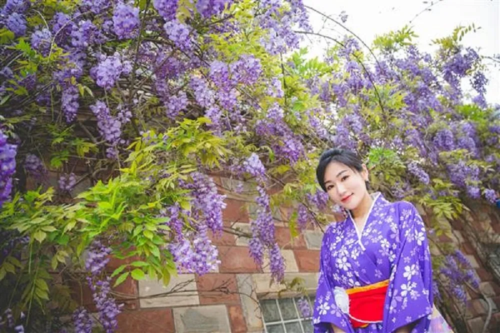 探訪最美紫色山城！「2021瑞里紫藤花季」26 個最佳賞花景點公布