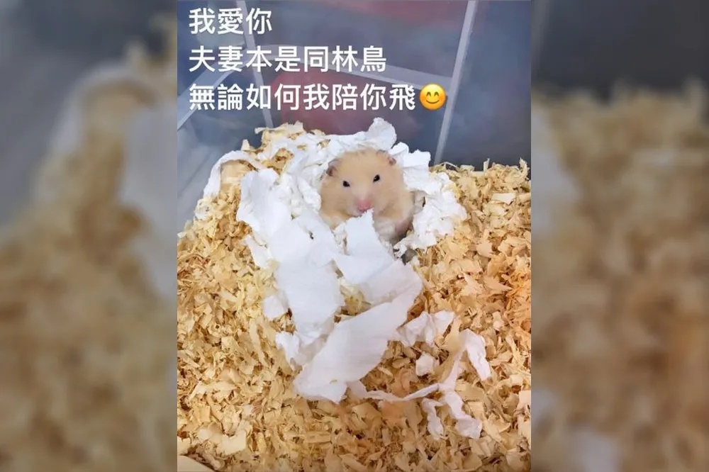 【F-5E失事案】飛官羅尚樺殉職　新婚妻泣：無論如何我陪你飛