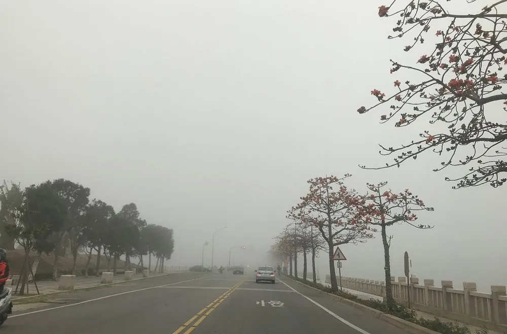 清晨發布濃霧特報　3班往返台北金門航班取消