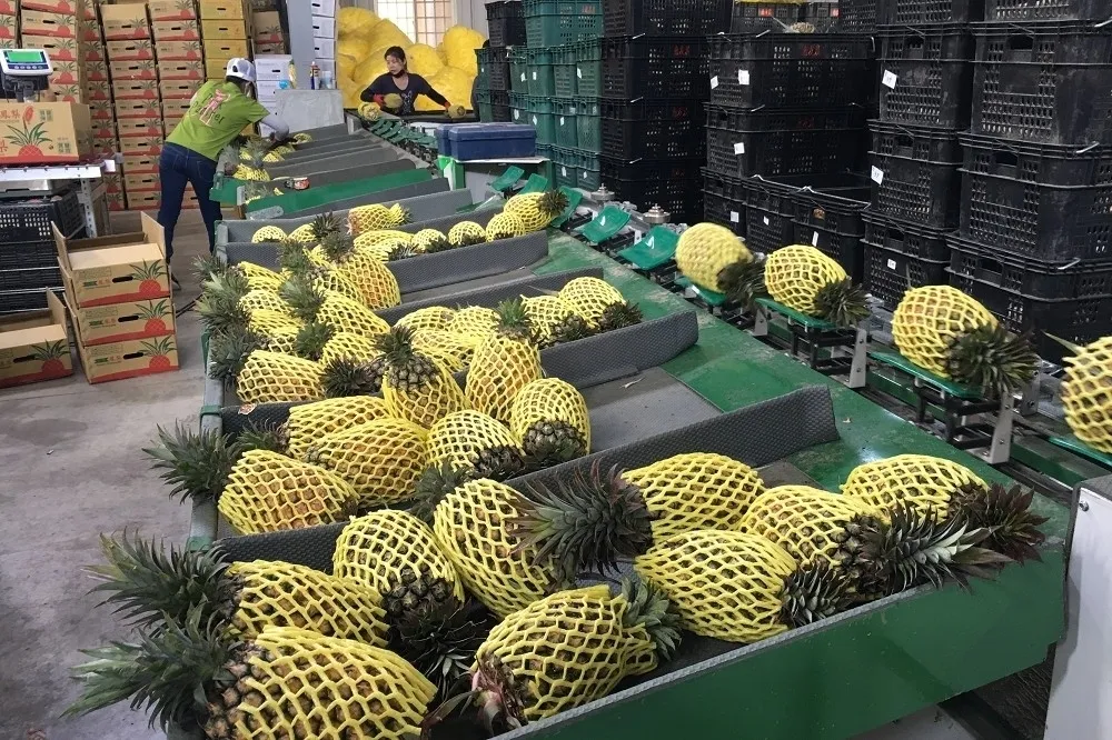 新農業：農業科技整合應朝向資本市場大步向前邁進