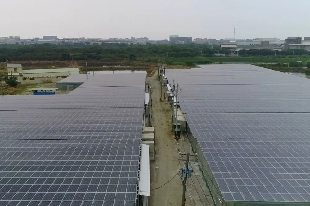 【漁電共生】台南室內養殖場結合太陽光電　白蝦豐收見證漁業與綠能雙贏