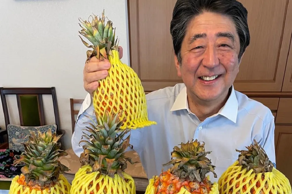 日本前首相安倍晉三臉書爽曬台灣鳳梨　「看起來好好吃」