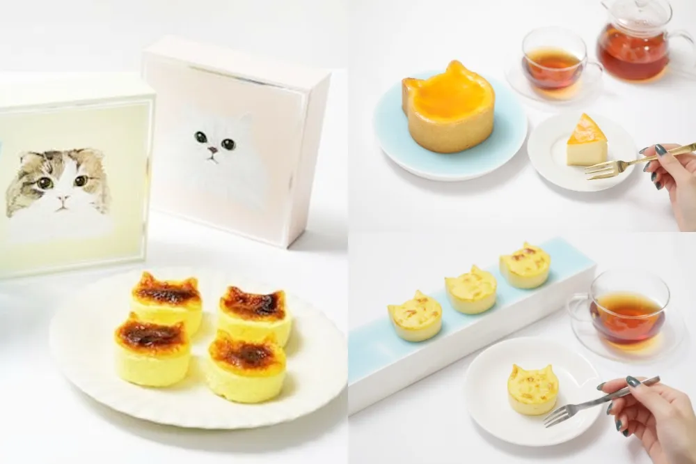 超萌貓貓起司蛋糕來台啦！東京人氣伴手禮 NEKO NEKO CHEESECAKE 空降信義新光 A11