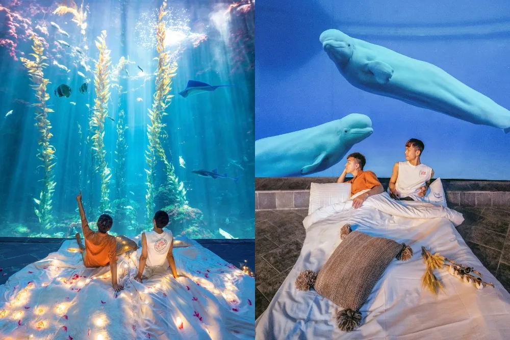 屏東海生館首度舉辦「網美夜宿體驗營」！IG 達人親授攝影技巧拍下時尚大片