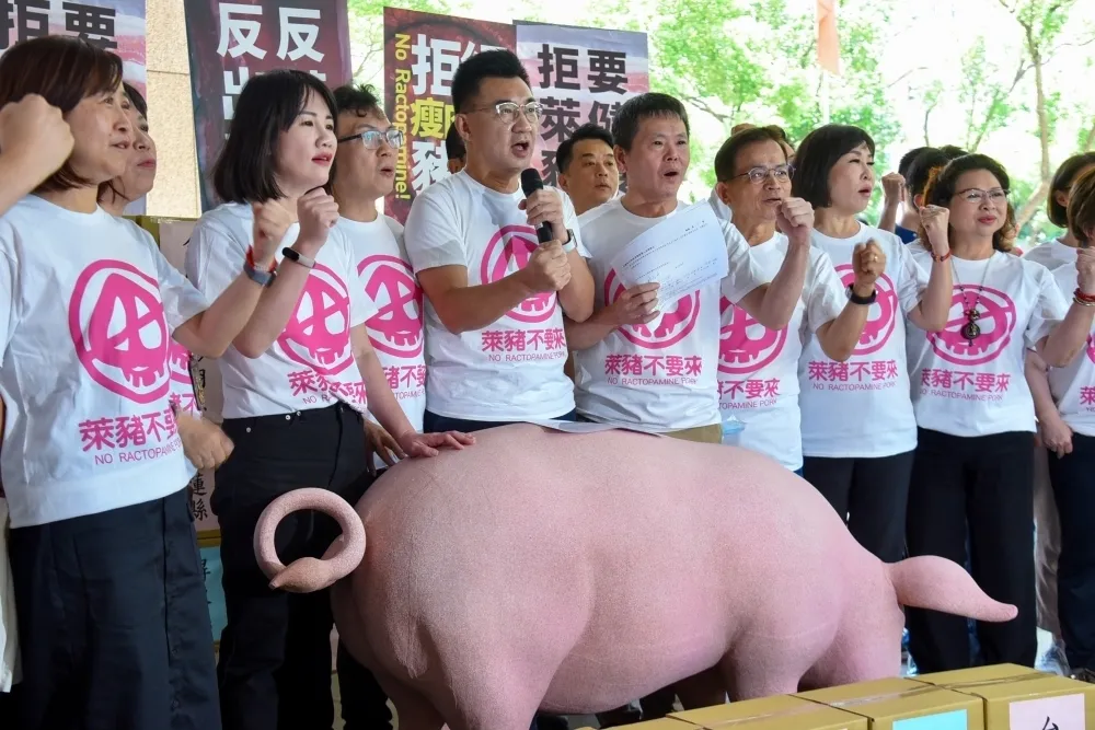 【獨家！獅子會疫情破口】5/16民進黨公投說明會喊停　上百場視疫情再決定是否開辦