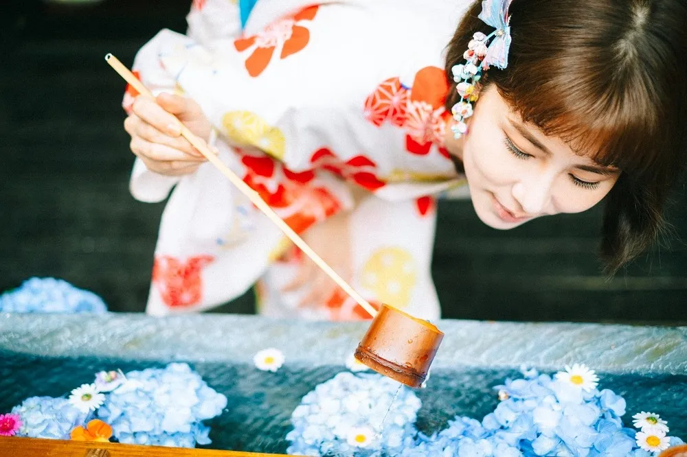 五月底前穿和服、浴衣入園免費！「薰衣草森林」繡球花節《詩與花見》造訪浪漫花藝裝置還可以抽森林美食