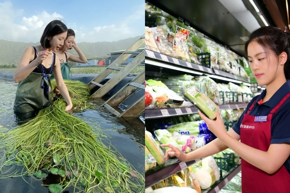 300 件商品第 2 件 5 折起！全聯年中慶 6/17 前祭出 5 大好康　有機認證專區將全面導入　